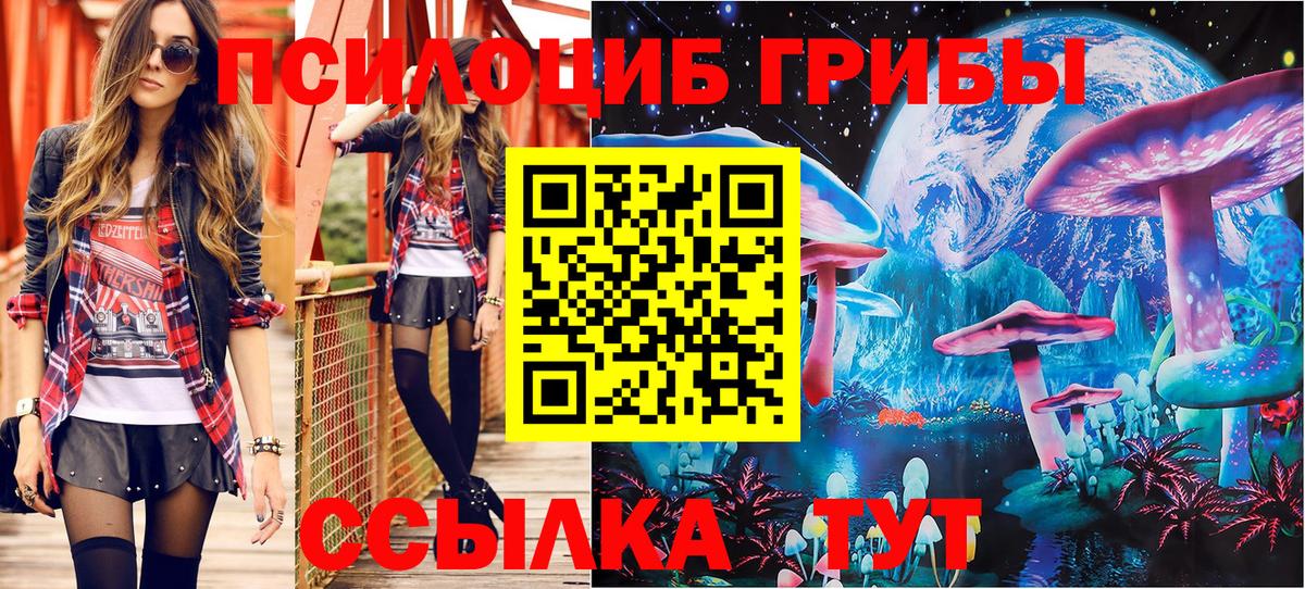 Ессентуки  Псилоцибиновые грибы Magic Shrooms  Вход с VPN 